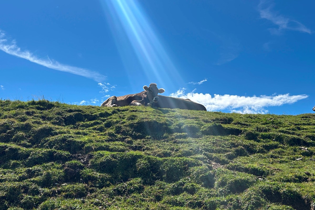 IMG 20260904 WA0053 Km